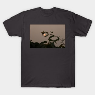 Michigan Sunrise T-Shirt